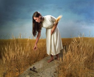 ruth-gleaning